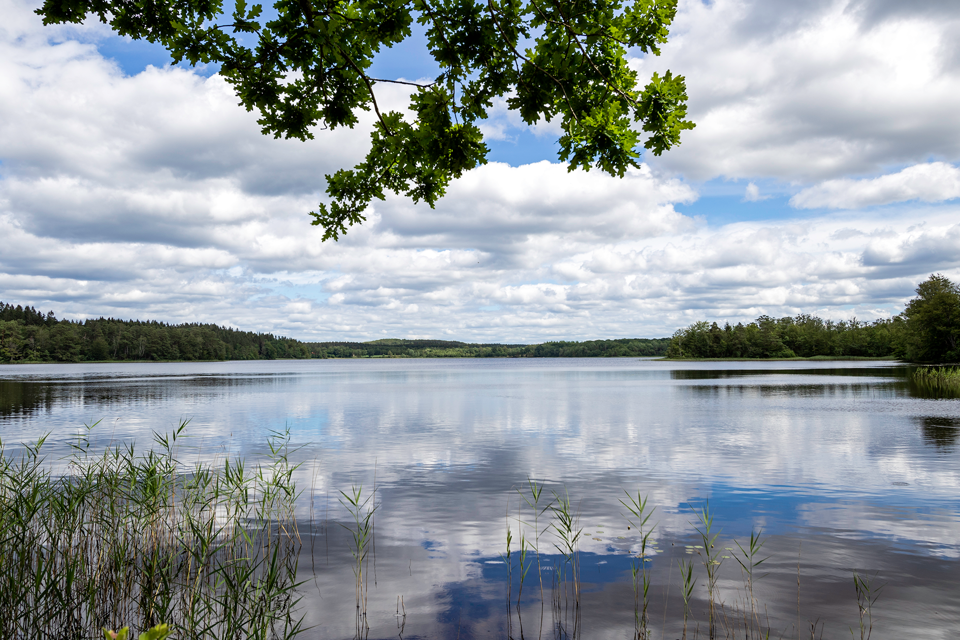 Lärkesholmsjön Örkelljunga